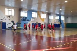 Pistas del polideportivo el romeral