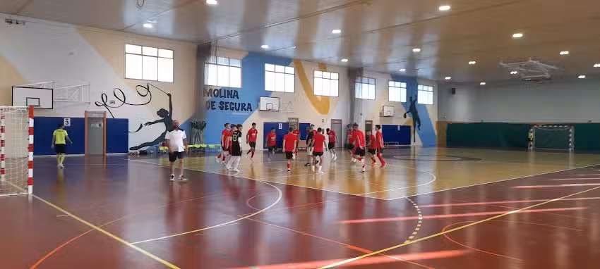 Pistas del polideportivo el romeral