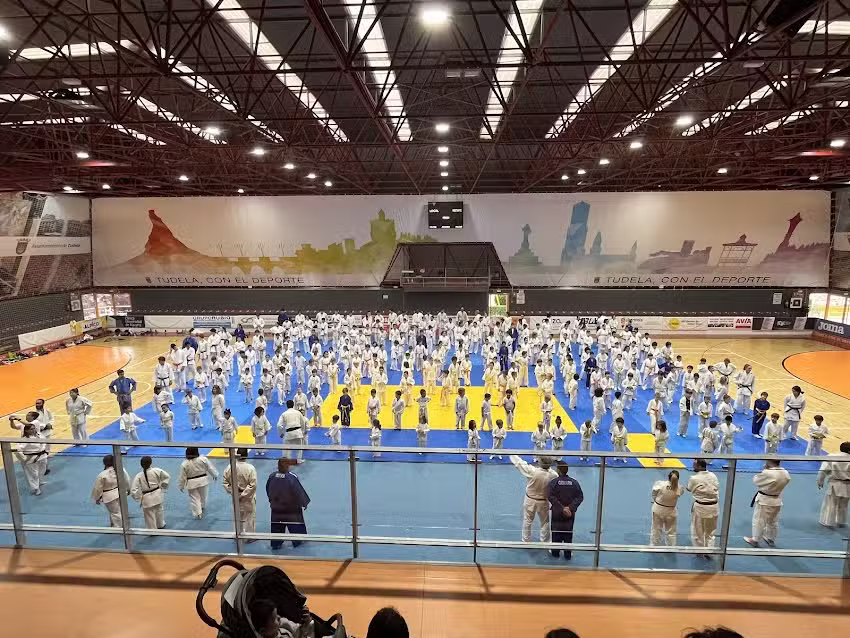 Polideportivo Ciudad de Tudela