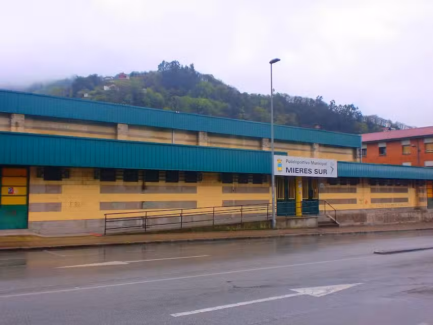 Polideportivo Municipal Mieres Sur