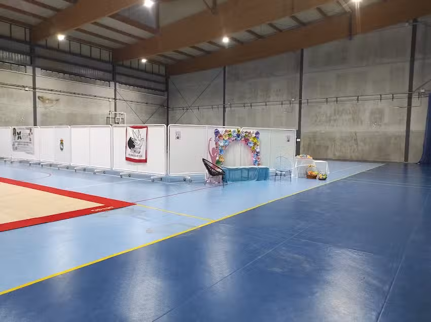 Polideportivo Palomares