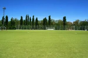 Polideportivo. Universidad de Navarra