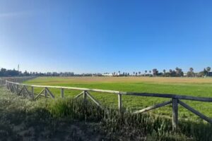 Pradera Laura Delgado «Bimba»