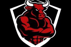 PRO FITNESS CENTER AMPOSTA