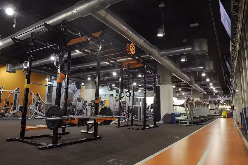 Profitness