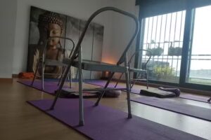 Raja Yoga Madrid