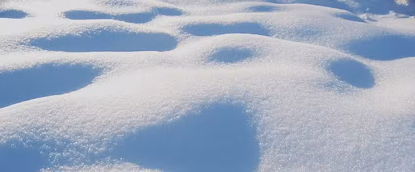 RAMAYOGAESKOLA YogaPlazaNueva- Sanatana Dharma Bilbao