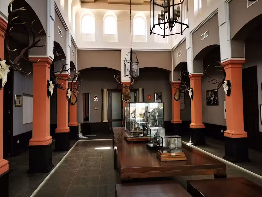 Real Sociedad de Tiro a Vuelo de Sevilla