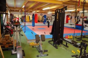 Rei Koshiki Gym Reocin