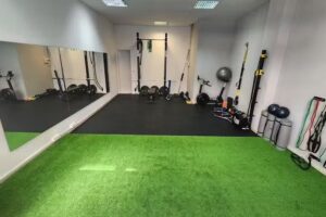 RESET. Salut i Rendiment