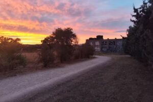 Rocódromo de Mingorrubio