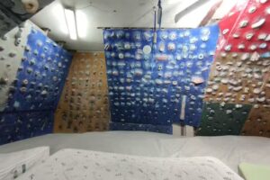 Rocodromo el vellon ToDogFace