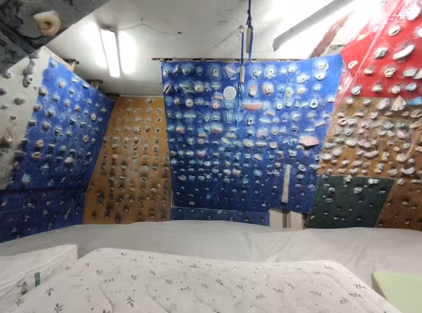 Rocodromo el vellon ToDogFace