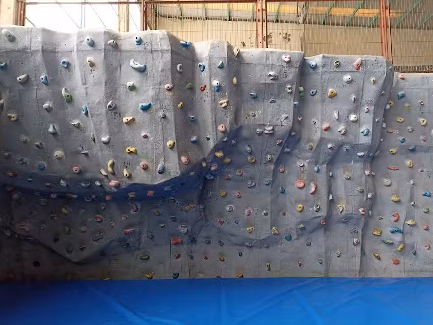 Rocodromo Polideportivo Gorostiza