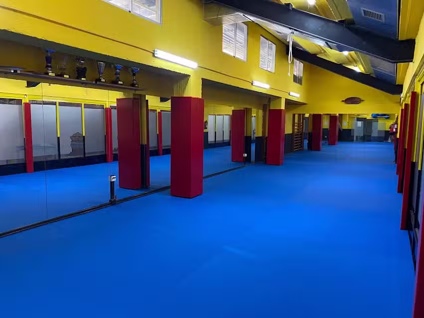 RONIN Club De Judo