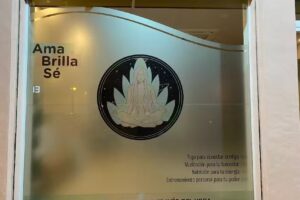 Ser y Yoga Estudio – Granada Centro Yoga