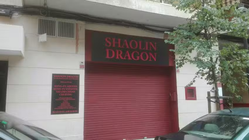 Shaolin Dragon