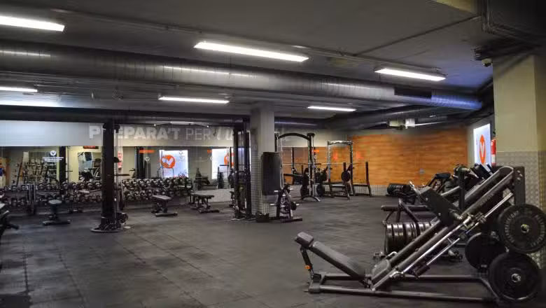 Sintonia fit Rotonda