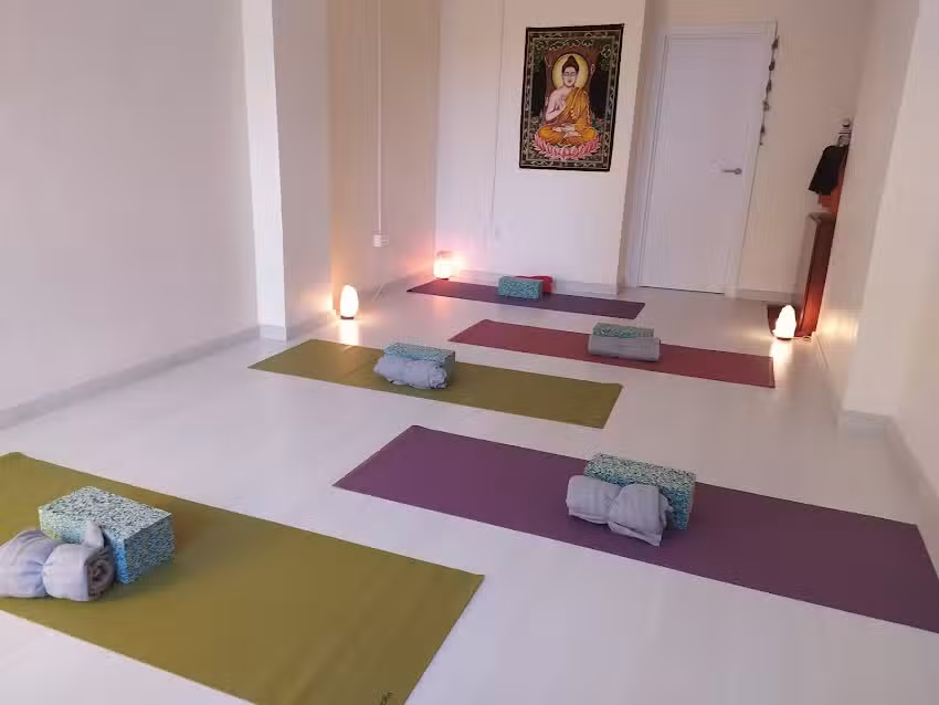 Sonargia, Terapias Energ&eacute;ticas