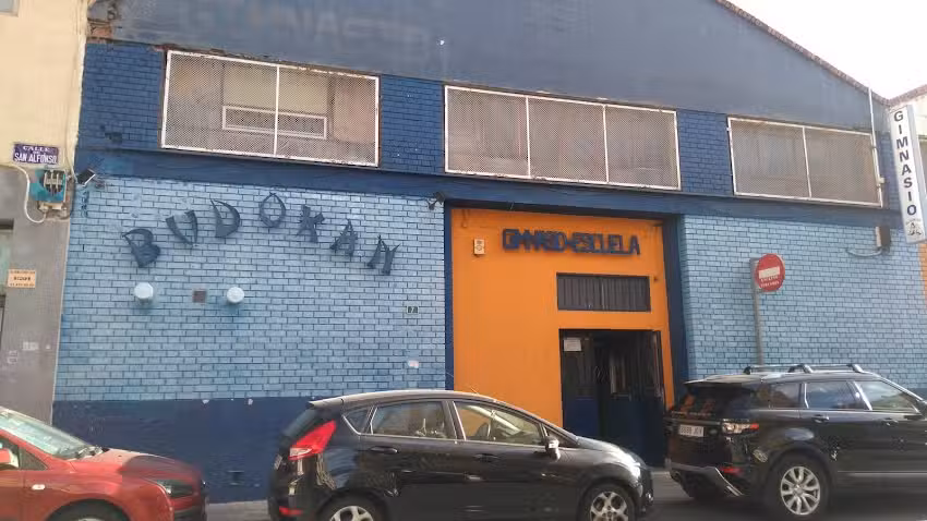 Sonysportmagic, Sakura, Budokan