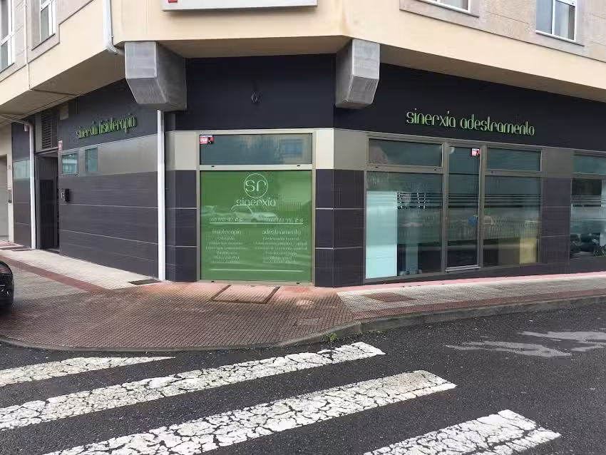 SR Sinerxia Fisioterapia e Adestramento