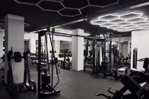 Stellar Fitness & Wellness