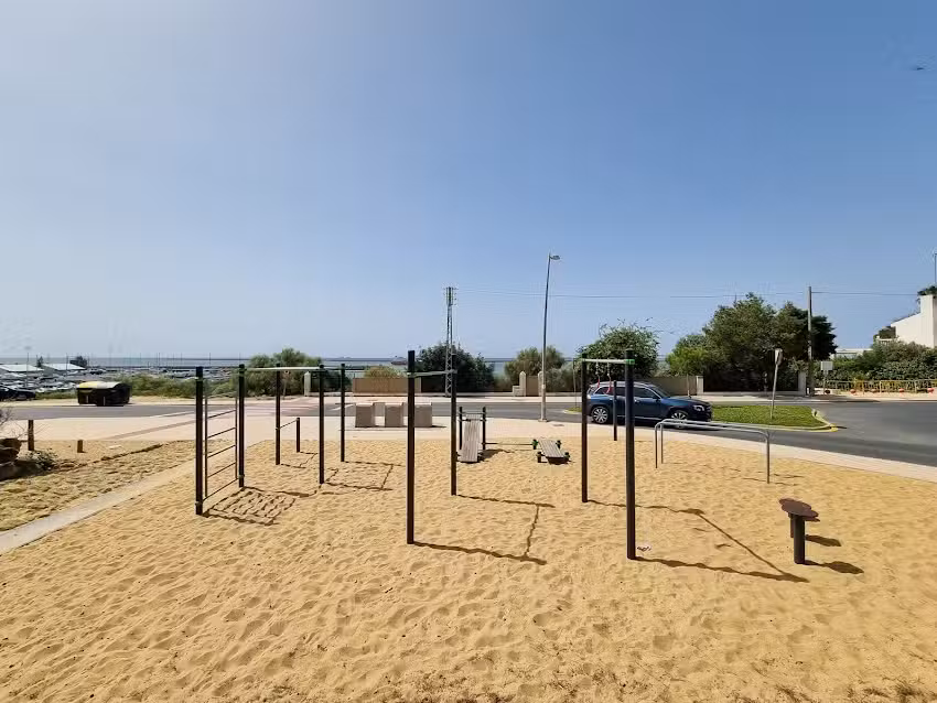 Street Workout-Calistenia