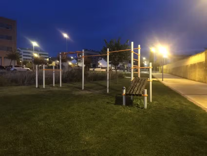 street workout calistenia Alfaro