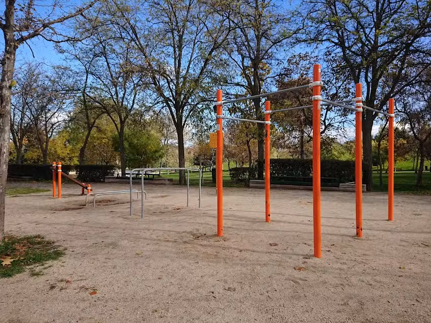 StreetWorkout / Calistenia