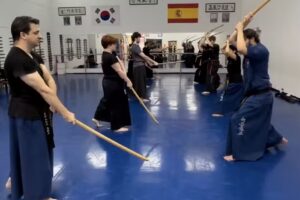 SungLi Doyang. La Escuela de Artes Marciales de Espartinas