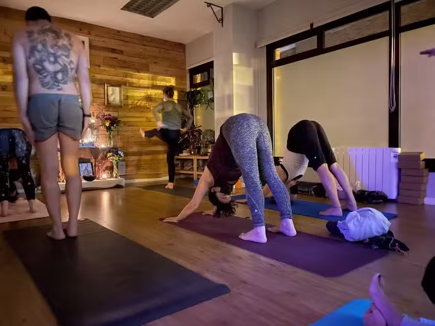 Surya Yoga Shala