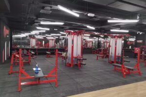 Synergym Albacete la Cuba