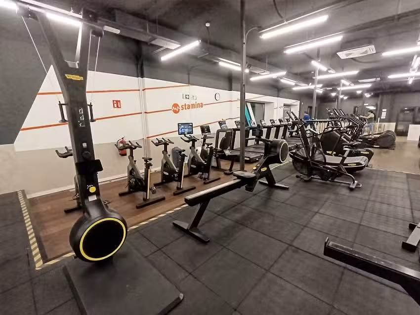 Synergym Benetússer