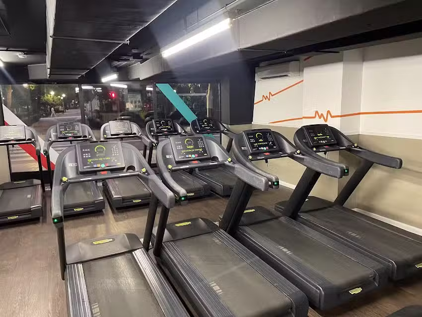 Synergym Castell&oacute;n Parque Ribalta