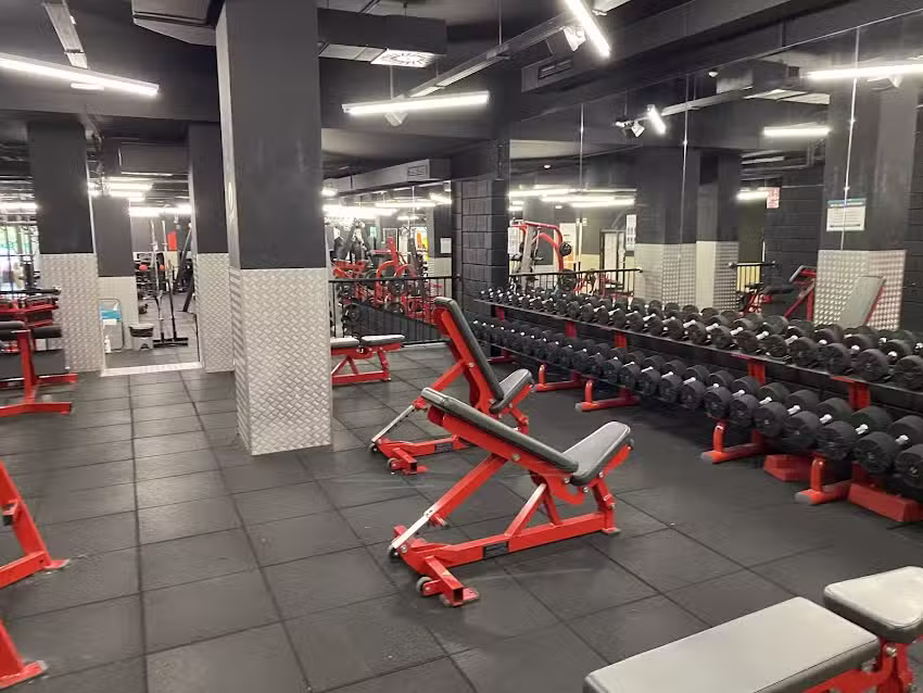 Synergym Elche Altabix