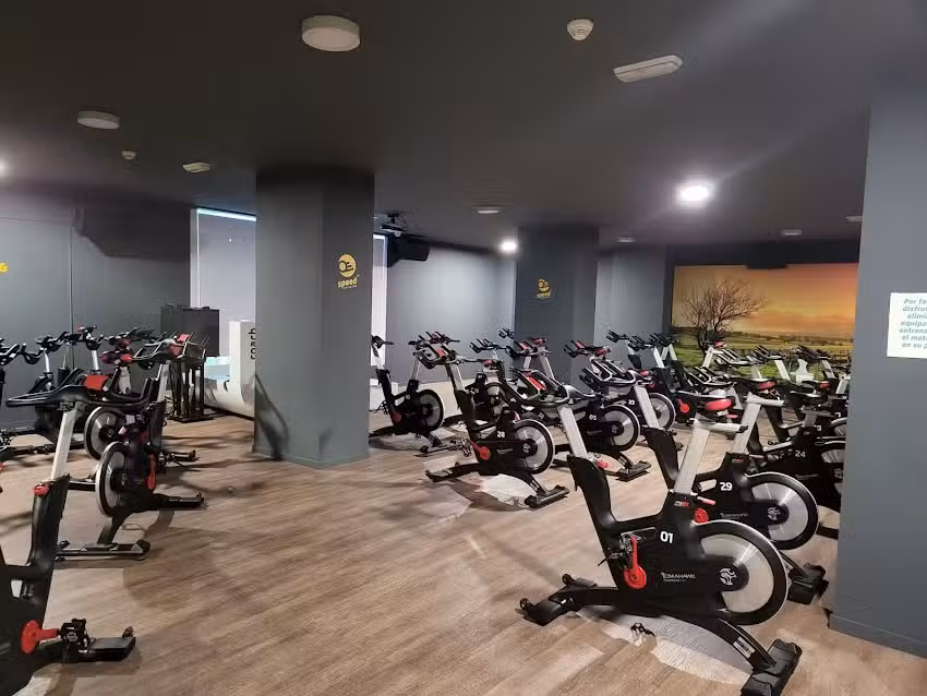 Synergym Marbella