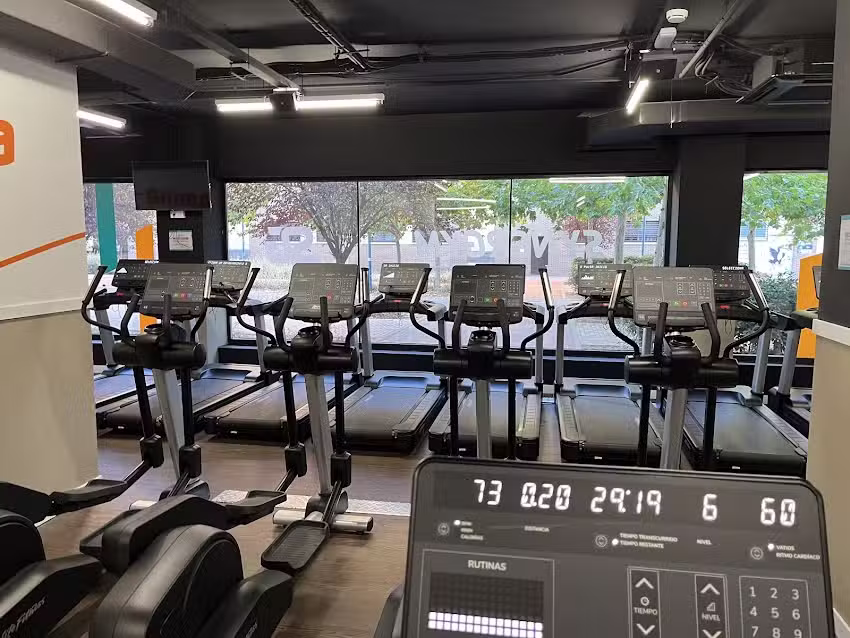Synergym Torrej&oacute;n Soto del Henares