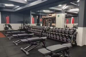 Synergym Zaragoza Aljafería
