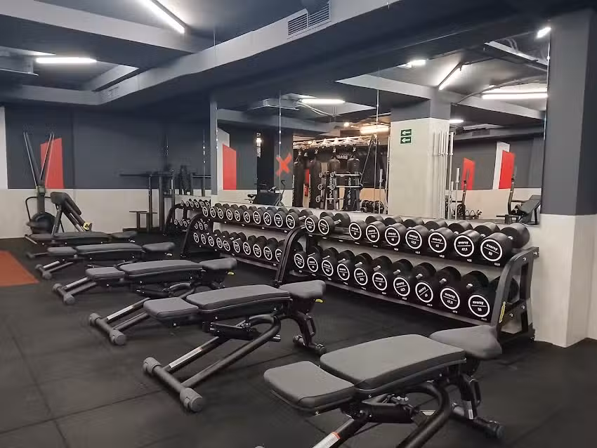 Synergym Zaragoza Aljafer&iacute;a