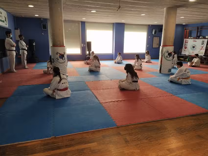 Taekwondo Balmes