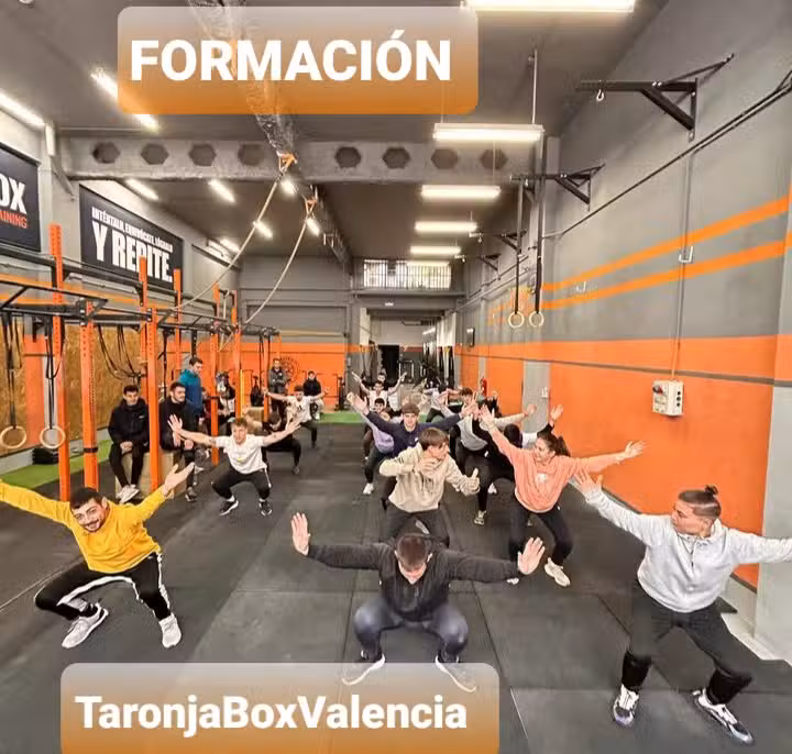 Taronja Box Valencia