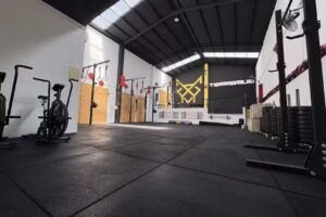 Terrarium Training Club