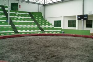 Terrero de Lucha Juan Carlos Martin Guillen