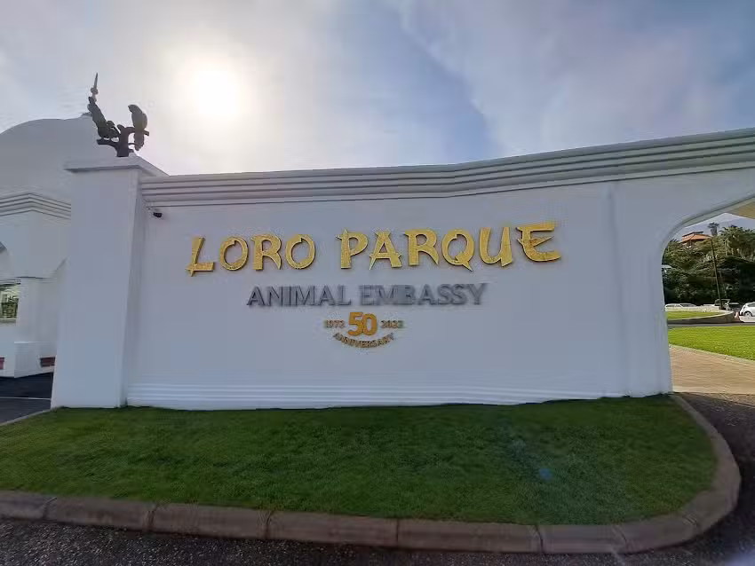 Terrero De Lucha Santiago Yanes Loro Parque
