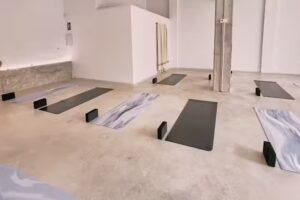 THE · SHALA yoga studio