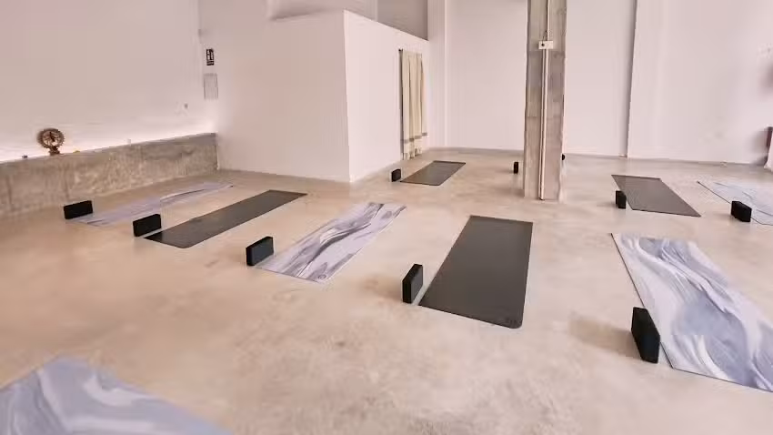THE · SHALA yoga studio