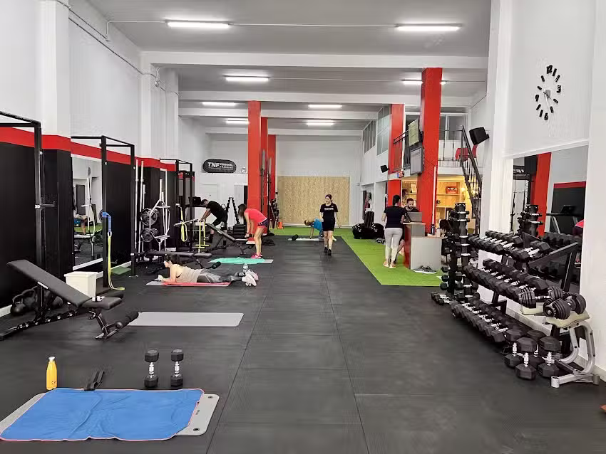 TNF PERSONAL TRAINING