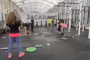 Training Box Nuevo Jacaranda