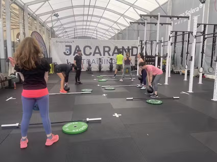 Training Box Nuevo Jacaranda