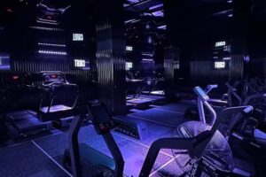 TRIB3 Sagrada Familia